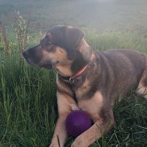 Meet your Posher, Addison